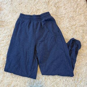 American Eagle Outfitters Blue Joggers- Relaxed Fit
